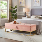 Metal Base Bed Bench with Storage