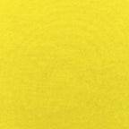 25  Round Indoor Junior Bean Bag Chair