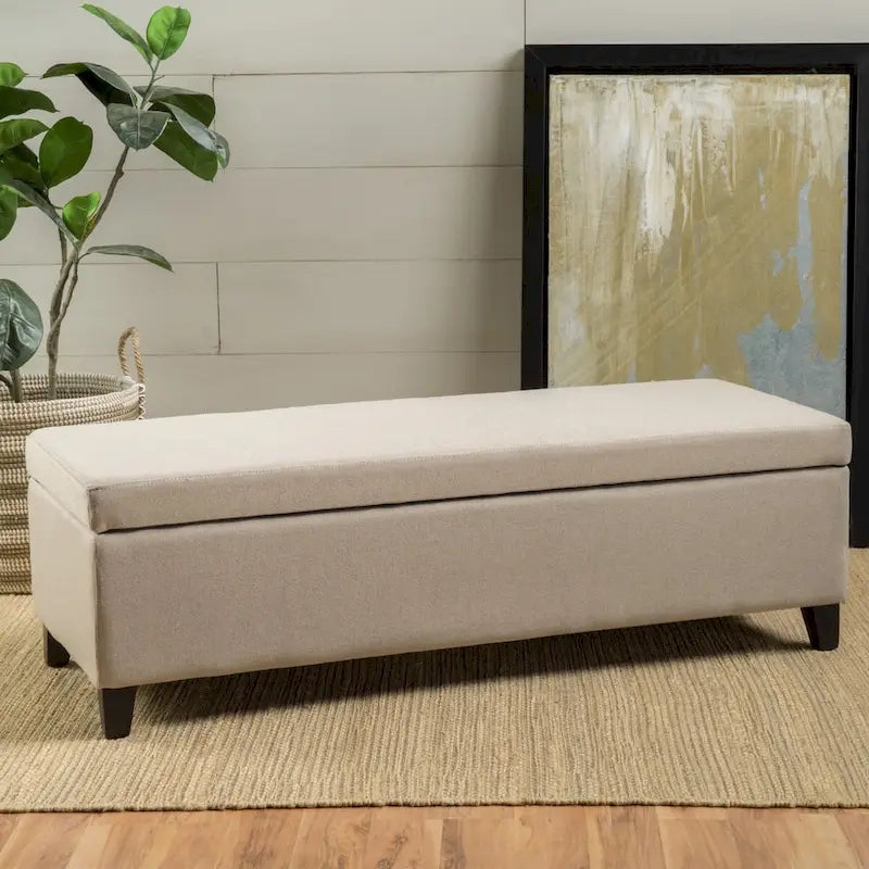 Modern Storage Bench for Bedside Living Room and Entryway