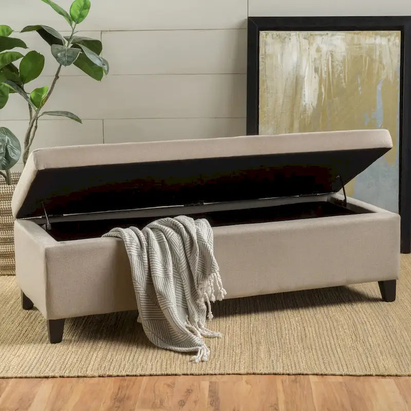 Modern Storage Bench for Bedside Living Room and Entryway
