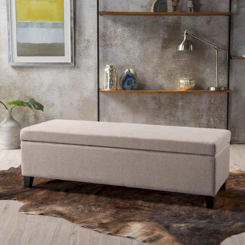 Modern Storage Bench for Bedside Living Room and Entryway