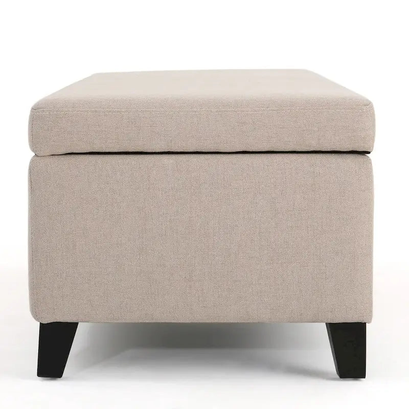 Modern Storage Bench for Bedside Living Room and Entryway