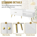 Modern Shoe Storage Bench with Hidden Storage and Upholstered Cushions